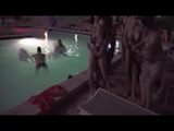 Konwent Fetishcon. Impreza z seksem w basenie